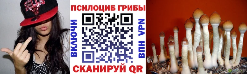 где купить наркотик  Протвино  Галлюциногенные грибы мухоморы 